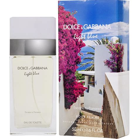 dolce and gabbana reviews.